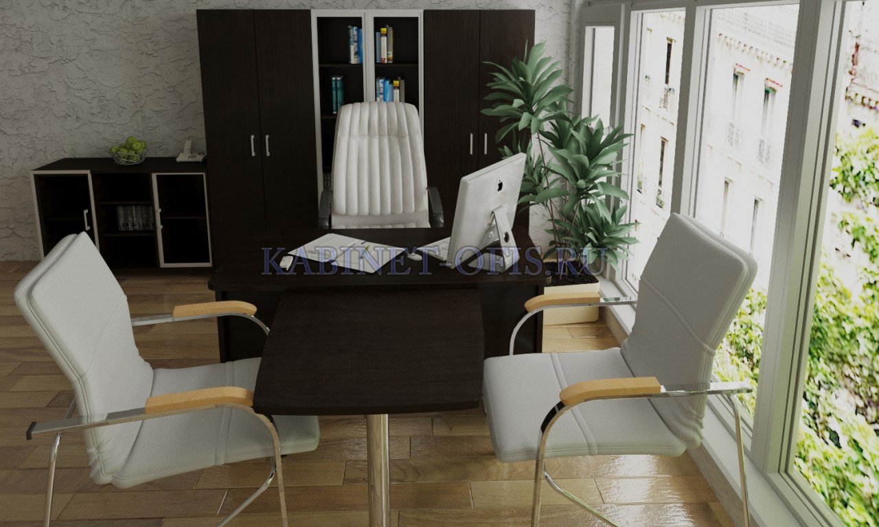 Мебель для руководителя Статус-А - вид 2